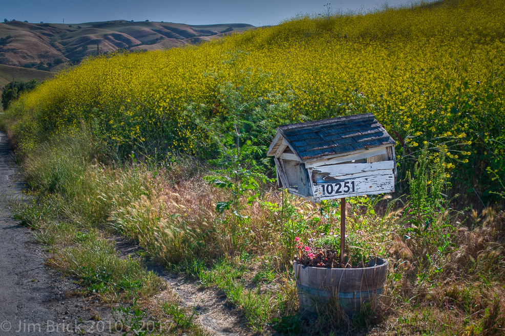 Canon 1Ds Mark III, TS-E 45mm f/2.8L, 1/20 @ f/14, Scheimpflug used.